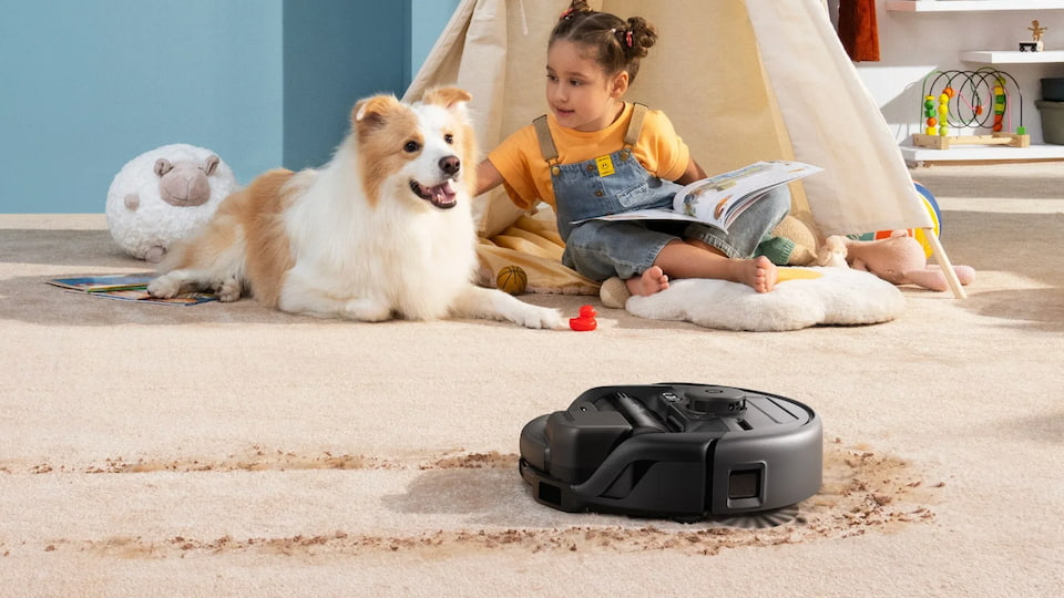 How to Create a Pet-Friendly Home: Safety, Comfort & Cleanliness