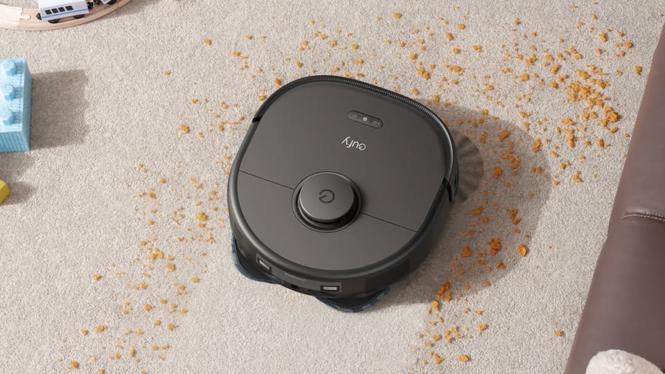 How to Get Rid of Ants in House Fast and Keep Them Out for Good