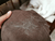 Get Rid of Pet Hair: Simple Tips That Actually Work