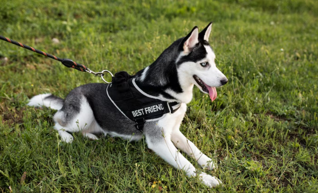 A Detailed Home Security Guide on How to Deter Burglars