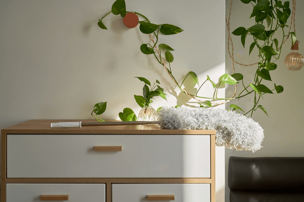 spring clean checklist