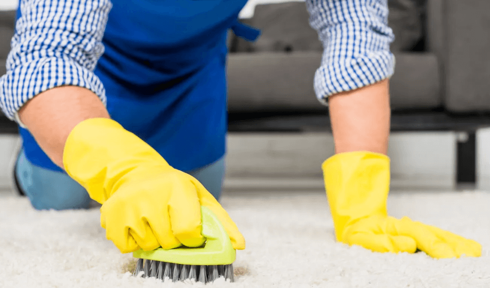 How to Vacuum Carpets Properly Like a Pro