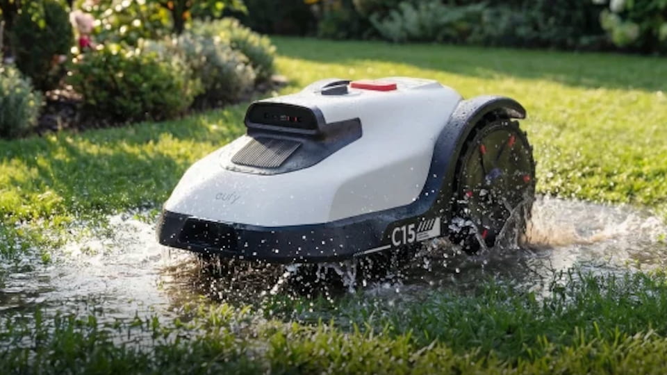 Can You Cut Wet Grass Safely? Risks, Timing and Practical Tips