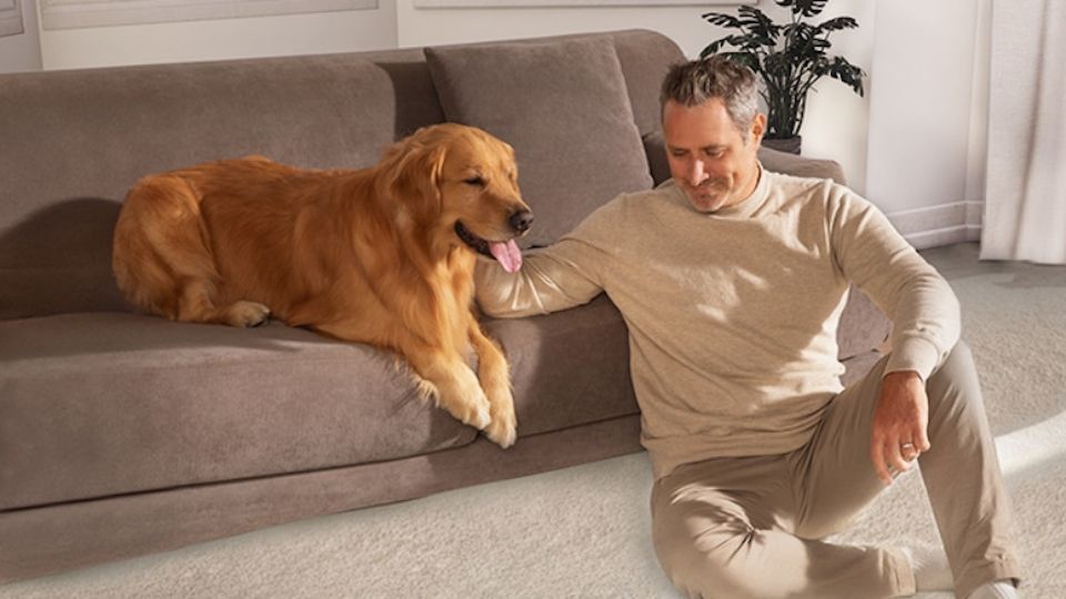 How to Get Rid of Pet Odors in the House: Easy Floor Guide