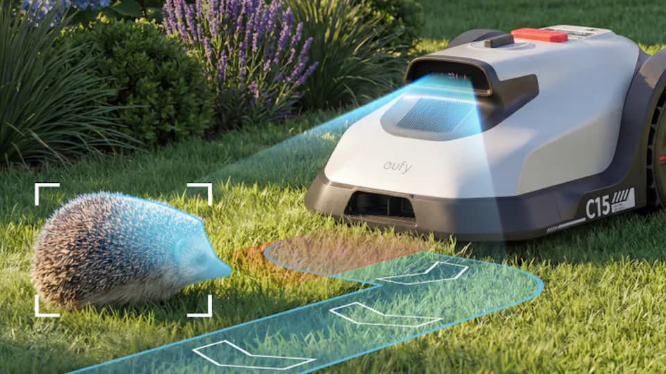 Hedgehog Mower Safety: How to Mow More Responsibly