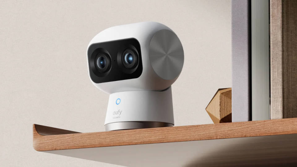 Pet Friendly Security Systems: Protecting Your Home Without Disturbing Your Pets