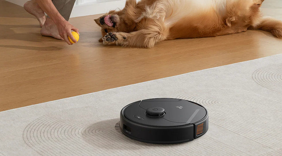 How to Get Dog Smell Out of Carpet: Effective Methods